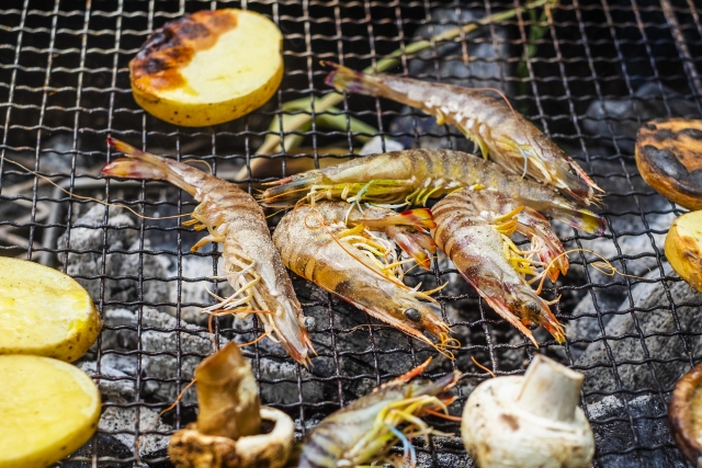 海鮮系bbq 買うならここin愛知県 qjo Com