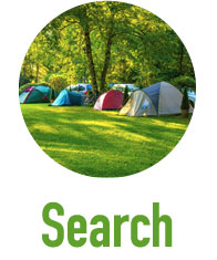 Search