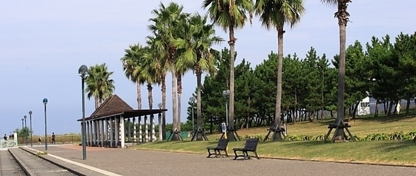 二色の浜公園 海浜緑地DAYキャンプエリア・ドッグフリーDAYキャンプエリア