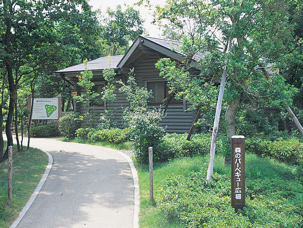 兵庫県立三木山森林公園 森のバーベキュー広場