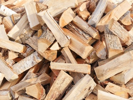 薪から火起こし！薪の種類と組み方を学ぶ　応用編